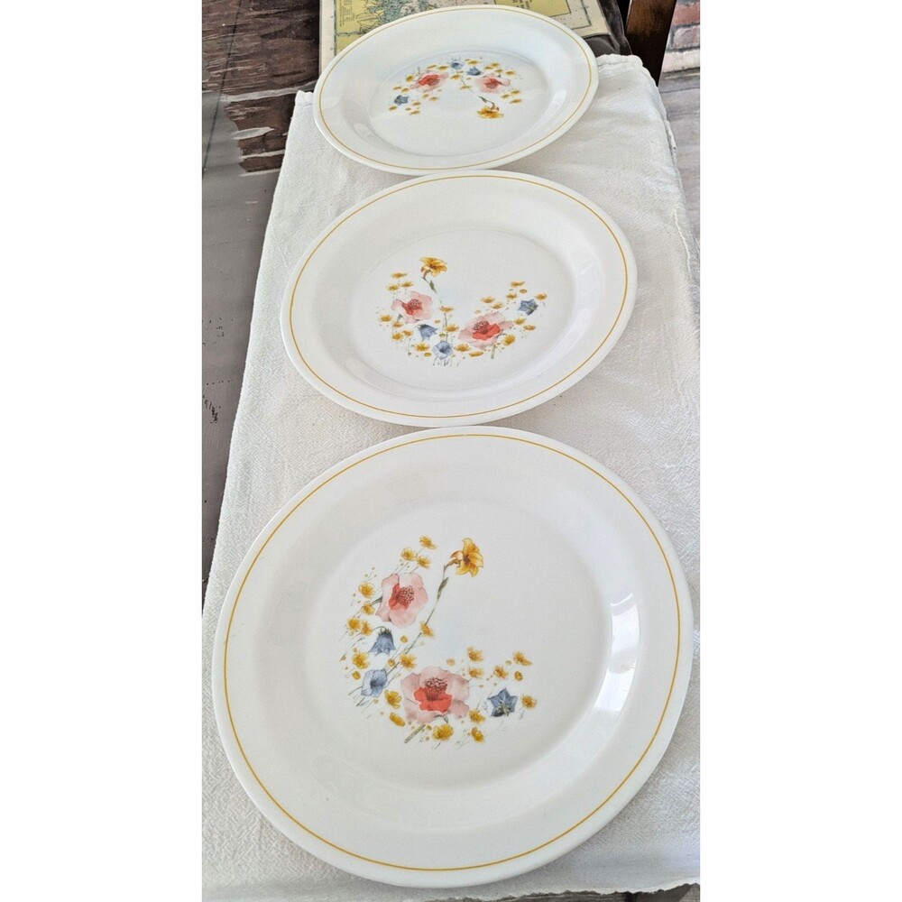 Lot of 3 Arcopal France Dinner Plates 10.25" Floral Wildflower Yellow Band VTG